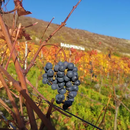 Weitblick Apartament Naumburg (Saale)