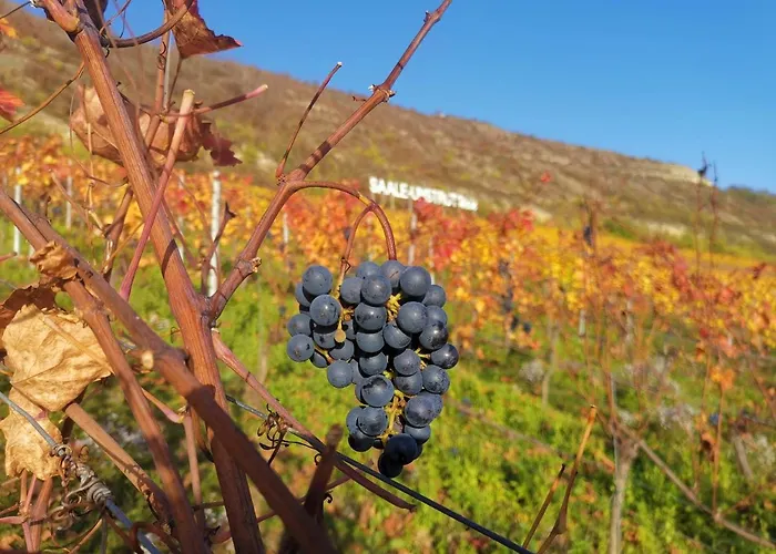 Weitblick アパート ナウムブルク